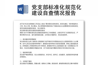 黨支部標準化規范化建設自查情況報告