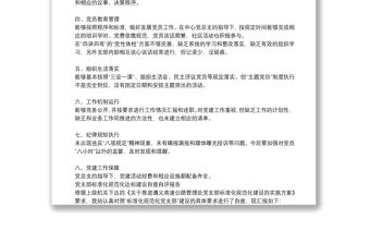 黨支部標準化規范化建設自查情況報告