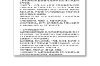 黨支部紀檢委員落實監督責任報告6篇