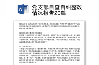黨支部自查自糾整改情況報(bào)告20篇