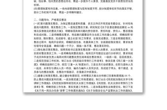 關于黨組織主要負責人組織落實巡察整改情況報告