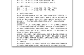 政治審查情況報告5篇