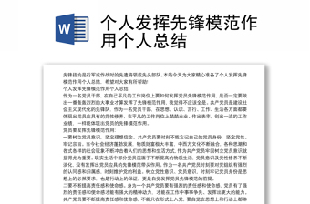 個(gè)人發(fā)揮先鋒模范作用個(gè)人總結(jié)