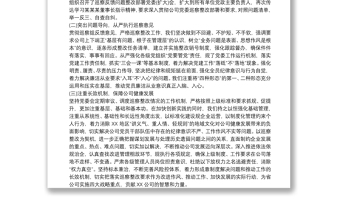 關(guān)于黨組織主要負(fù)責(zé)人組織落實巡察整改情況報告 三篇