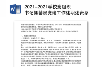 2023党政党建述职总结报告模板