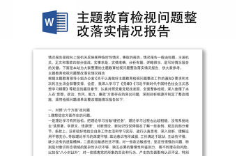 主題教育檢視問題整改落實情況報告