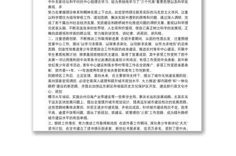 領導干部考察三年個人工作總結