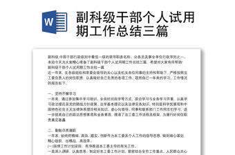 副科級干部個人試用期工作總結三篇