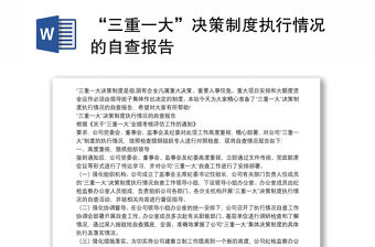 “三重一大”決策制度執行情況的自查報告