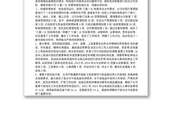 “三重一大”決策制度執行情況的自查報告