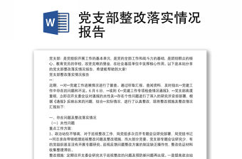 黨支部整改落實情況報告