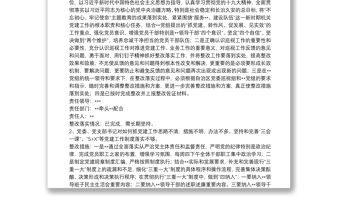 黨支部整改落實情況報告