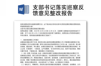 支部書記落實巡察反饋意見整改報告