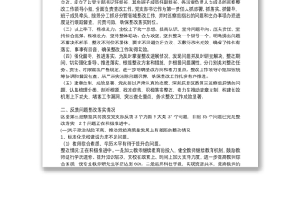 支部書(shū)記落實(shí)巡察反饋意見(jiàn)整改報(bào)告