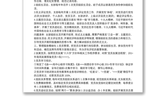 五化五強(qiáng)黨支部黨支部“五化”建設(shè)自查情況報(bào)告三篇