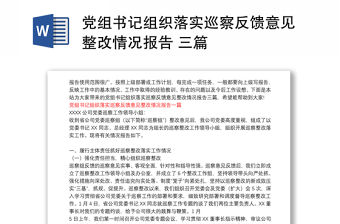 黨組書記組織落實巡察反饋意見整改情況報告 三篇