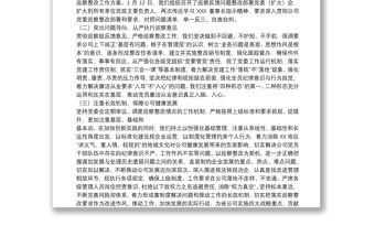 黨組書記組織落實巡察反饋意見整改情況報告 三篇