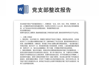 黨支部整改報告