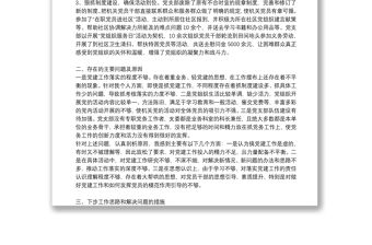 黨支部整改報告