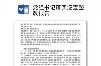 黨組書記落實(shí)巡查整改報(bào)告