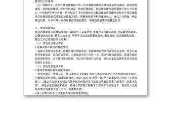 黨組書記落實(shí)巡查整改報(bào)告