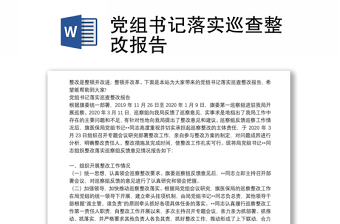黨組書記落實巡查整改報告