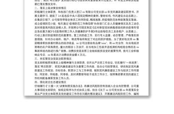 公司落實(shí)全面從嚴(yán)治黨主體職責(zé)與黨的建設(shè)工作自查報(bào)告