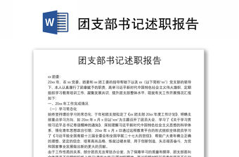 團支部書記述職報告