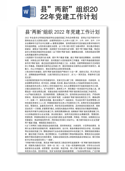 县”两新”组织2022年党建工作计划