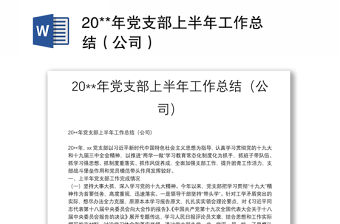 20**年黨支部上半年工作總結（公司）