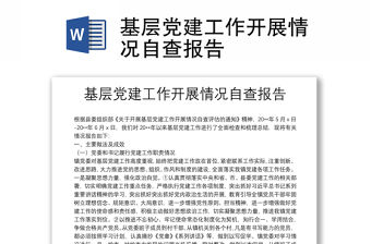 基層黨建工作開展情況自查報告