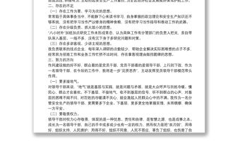 領導干部個人黨性分析報告