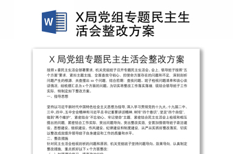 X局黨組專題民主生活會整改方案