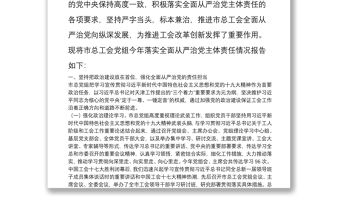 市總工會黨組20**年落實全面從嚴治黨主體責任情況報告