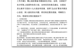 黨支部班子專題組織生活會情況通報(bào)（支部班子對照檢查材料）