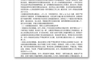 紀律作風專項整治工作總結報告