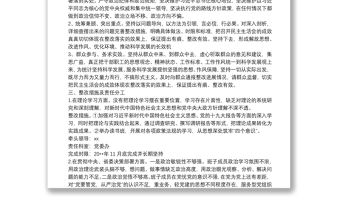 主題教育專題民主生活會整改方案