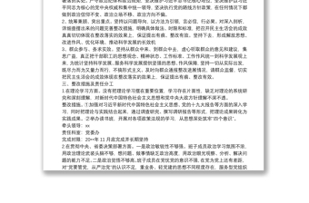 主題教育專題民主生活會整改方案
