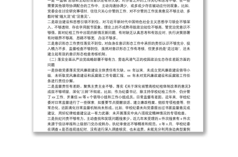 巡視整改專題民主生活會個人發(fā)言提綱