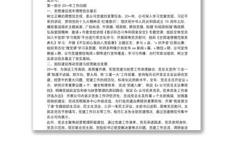 20**年黨建工作總結及20**年工作計劃：務實創新抓黨建 全力以赴促發展