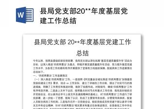 縣局黨支部20**年度基層黨建工作總結(jié)