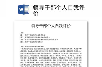 領導干部個人自我評價