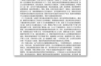 駐村第一書記工作組工作匯報