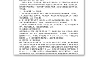 黨支部20**年工作思路