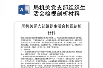 局機(jī)關(guān)黨支部組織生活會(huì)檢視剖析材料