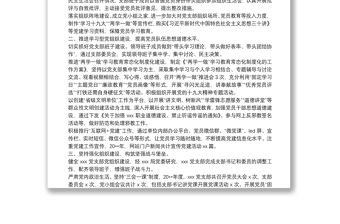 20**年黨支部書記抓黨建述職報告（局黨委黨支部）