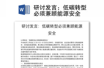 研討發言：低碳轉型必須兼顧能源安全