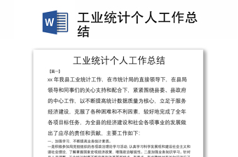 工業(yè)統(tǒng)計(jì)個(gè)人工作總結(jié)