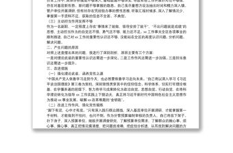 XX局黨組成員、副局長黨性分析材料