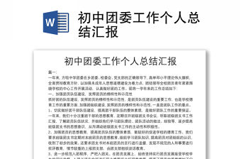 初中團委工作個人總結匯報